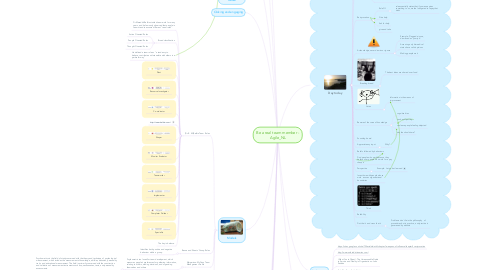Mind Map: Be a real team member - Agile_NL