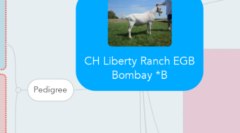Mind Map: CH Liberty Ranch EGB Bombay *B
