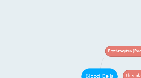 Mind Map: Blood Cells