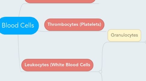 Mind Map: Blood Cells