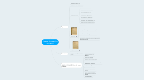 Mind Map: Тренинг Мужицкой по тренерству