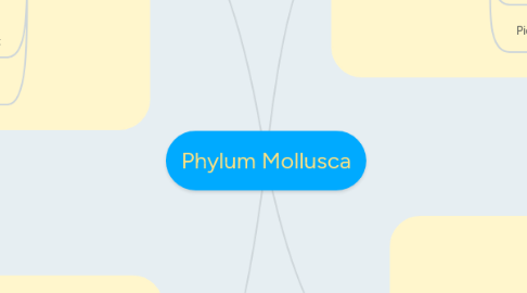 Mind Map: Phylum Mollusca