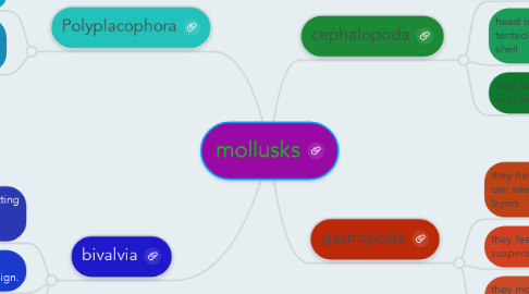 Mind Map: mollusks