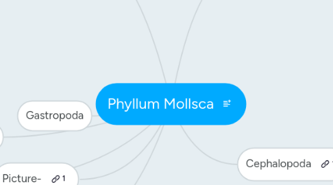 Mind Map: Phyllum Mollsca