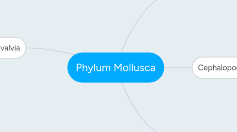 Mind Map: Phylum Mollusca