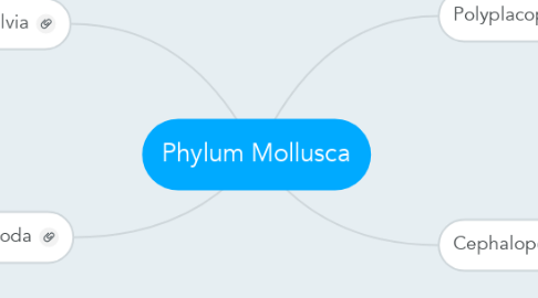 Mind Map: Phylum Mollusca