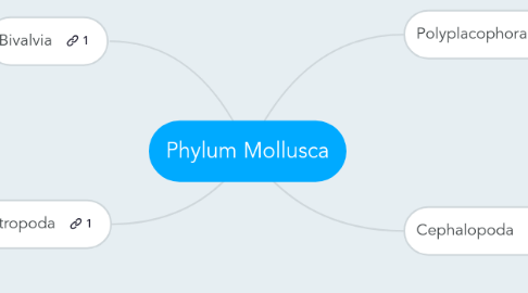 Mind Map: Phylum Mollusca