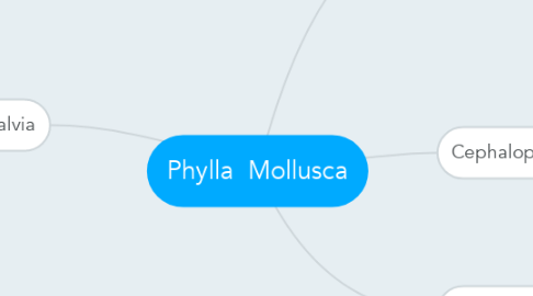 Mind Map: Phylla  Mollusca