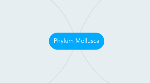 Mind Map: Phylum Mollusca