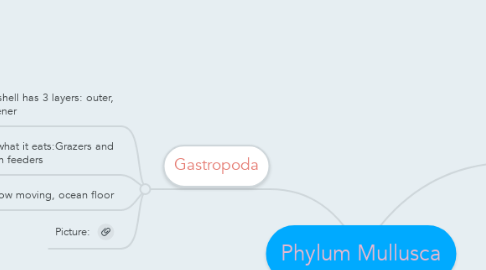 Mind Map: Phylum Mullusca