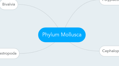 Mind Map: Phylum Mollusca