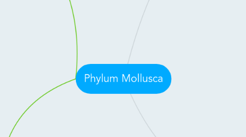 Mind Map: Phylum Mollusca