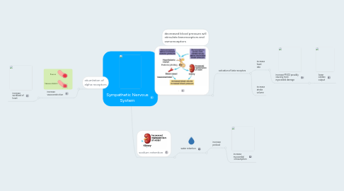 Mind Map: Sympathetic Nervous System