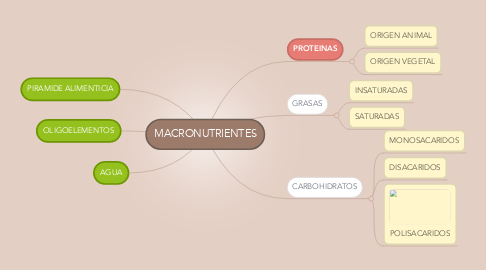 Mind Map: MACRONUTRIENTES