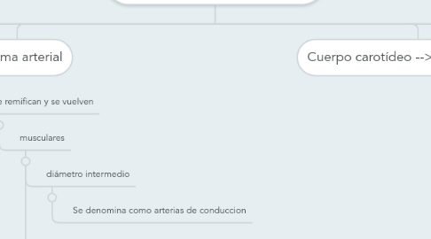 Mind Map: Intercambio arterial, venoso, linfático y microcirculación.