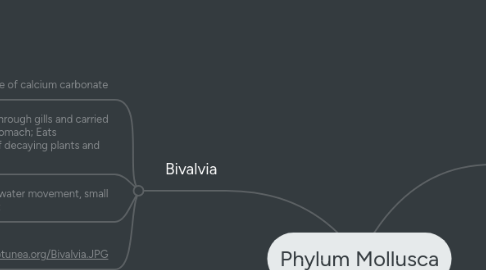 Mind Map: Phylum Mollusca