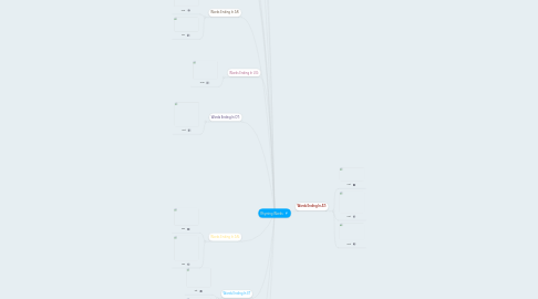 Mind Map: Rhyming Words