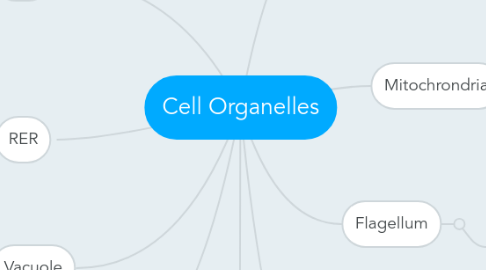 Mind Map: Cell Organelles