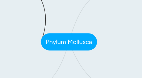 Mind Map: Phylum Mollusca