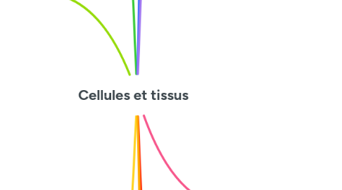 Mind Map: Cellules et tissus