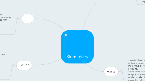 Mind Map: Biomimicry