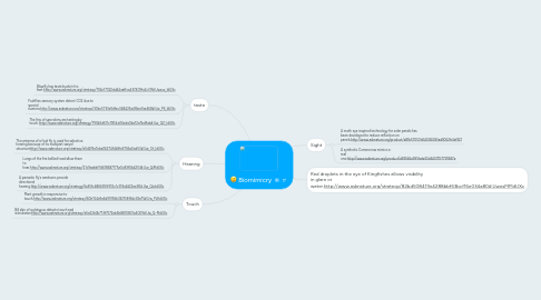 Mind Map: Biomimicry