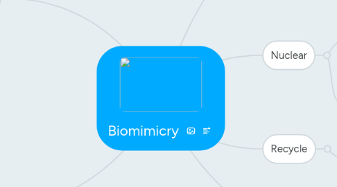 Mind Map: Biomimicry