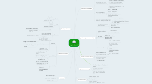 Mind Map: chapters 2 and 3