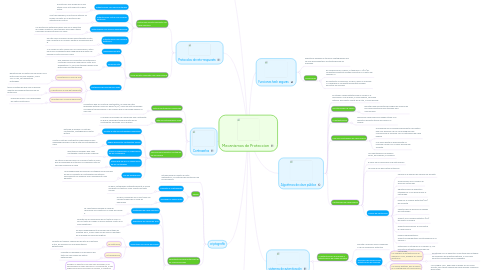 Mind Map: Mecanismos de Proteccion