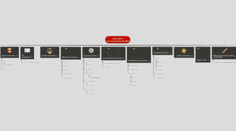 Mind Map: Association eco-reseaudemontreuil93