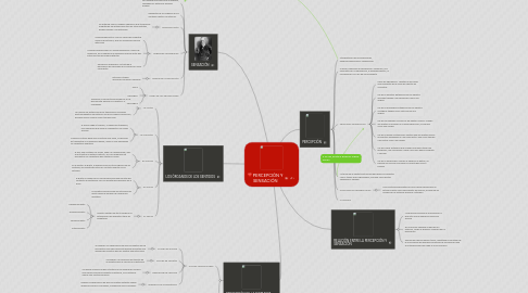 Mind Map: PERCEPCIÓN Y SENSACIÓN