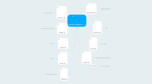 Mind Map: Aparato respiratorio