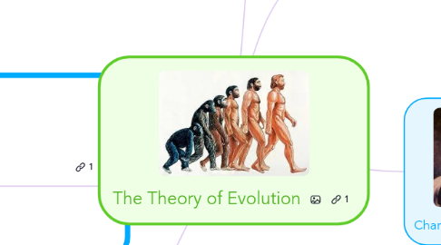 Survival of the Fittest: The Evolution of IT - Switchboard Software