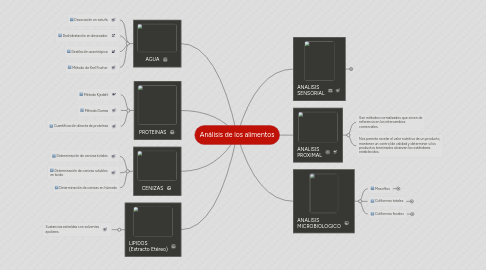 Mind Map: Análisis de los alimentos