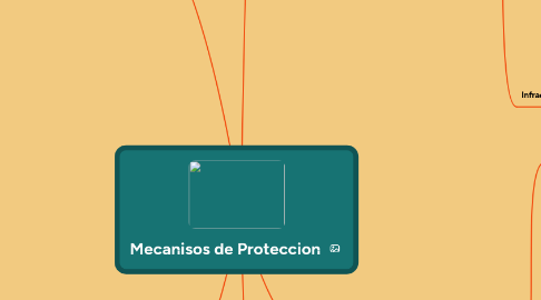 Mind Map: Mecanisos de Proteccion