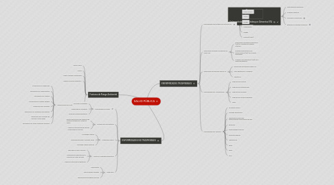 Mind Map: SALUD PÚBLICA