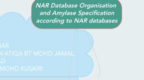 Mind Map: NAR Database Organisation  and Amylase Specification according to NAR databases