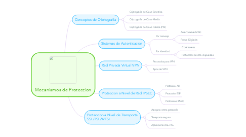 Mind Map: Mecanismos de Proteccion