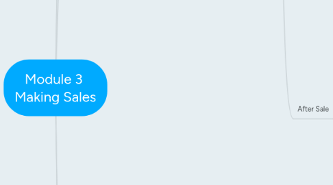 Mind Map: Module 3 Making Sales