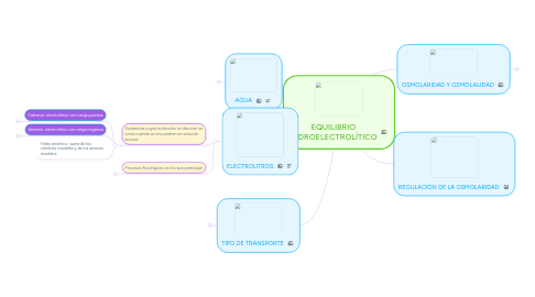 Mind Map: EQUILIBRIO HIDROELECTROLÍTICO