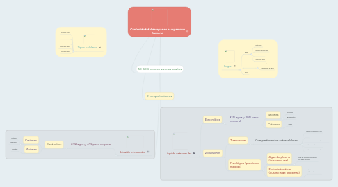 Mind Map: Contenido total de agua en el organismo humano