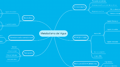 Mind Map: Metabolismo del Agua