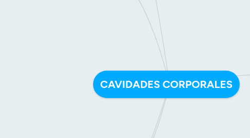 Mind Map: CAVIDADES CORPORALES