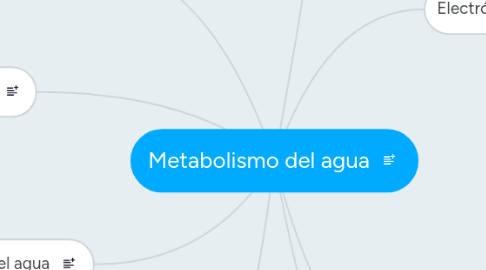 Mind Map: Metabolismo del agua