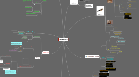 Mind Map: fysik-grunderna