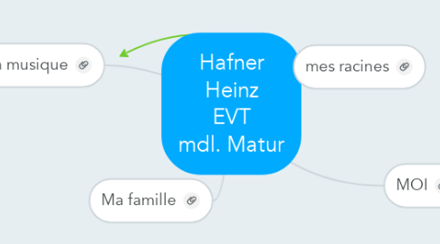 Mind Map: Hafner Heinz EVT mdl. Matur