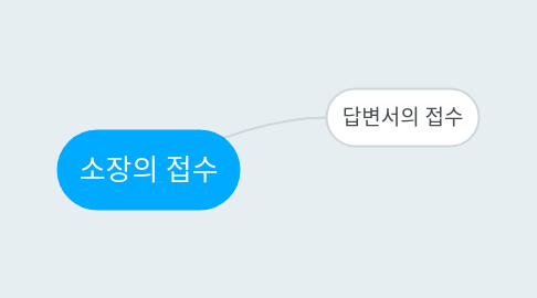 Mind Map: 소장의 접수