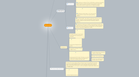 Mind Map: Técnicas MIC