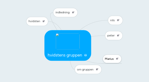 Mind Map: hvidstens gruppen