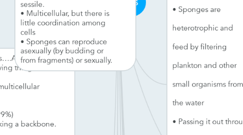 Mind Map: Sponges